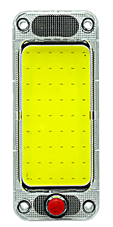 Y-2019