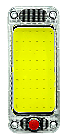 Y-2019